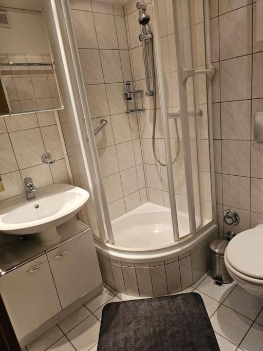 A&E Apartment Am Sorpesee Langscheid  Eksteriør billede